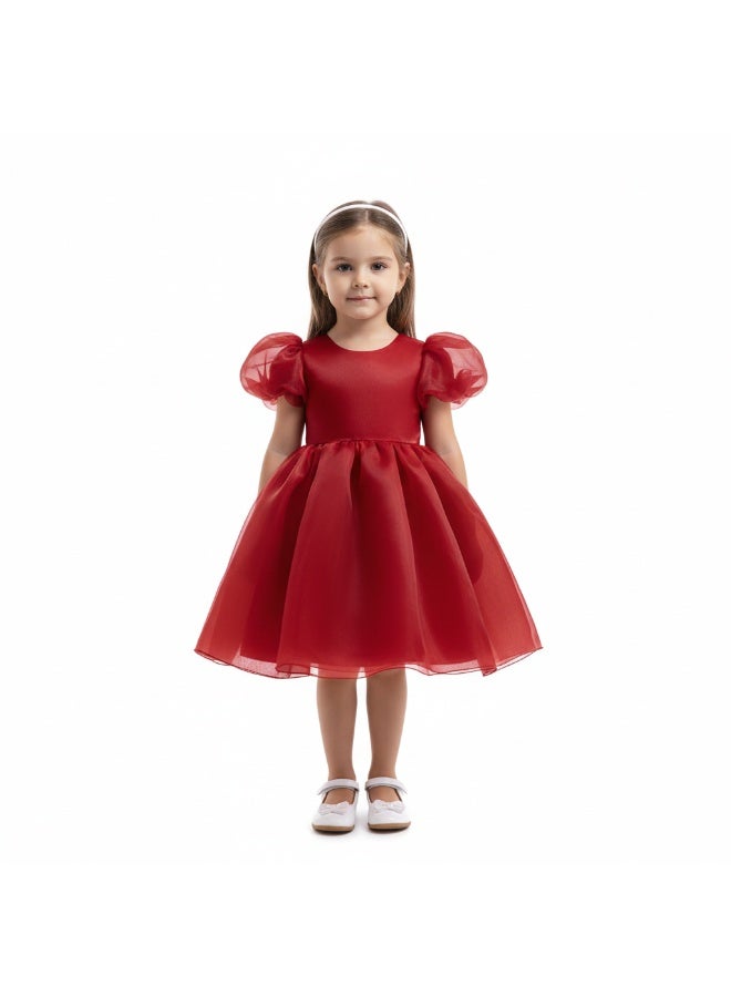 D'Daniela Organza Puff Sleeve Dress - Image 1